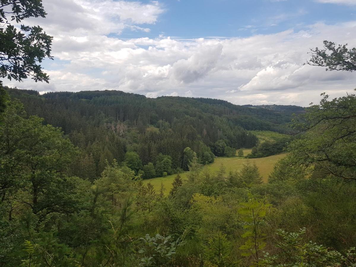 Altes Schreiner Haus In Der Vulkaneifel Brockscheid 외부 사진
